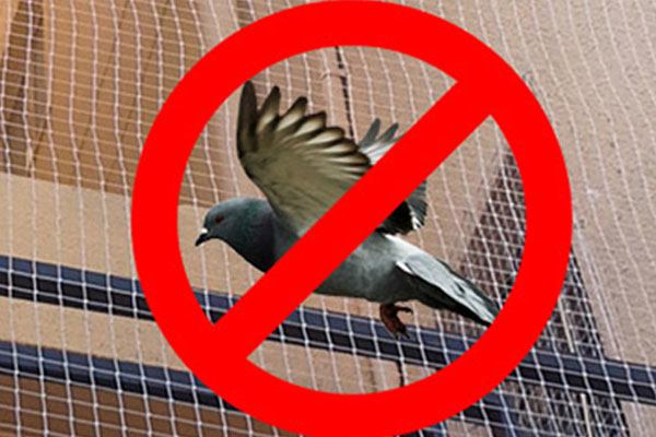   Pigeon Safety Nets  in Puttaparthi  